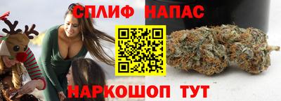 сатива Ливны