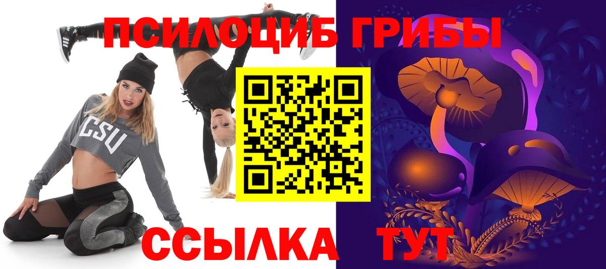Псилоцибиновые грибы GOLDEN TEACHER  Вход с VPN  Галлюциногенные грибы Cubensis  Благовещенск 